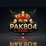 Pak804 Game
